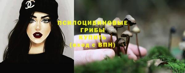 MDMA Заводоуковск