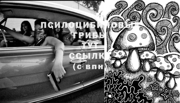 трава Ельня