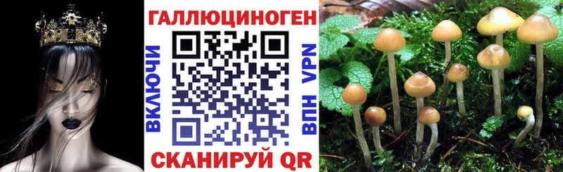 Галлюциногенные грибы Cubensis  Тольятти 