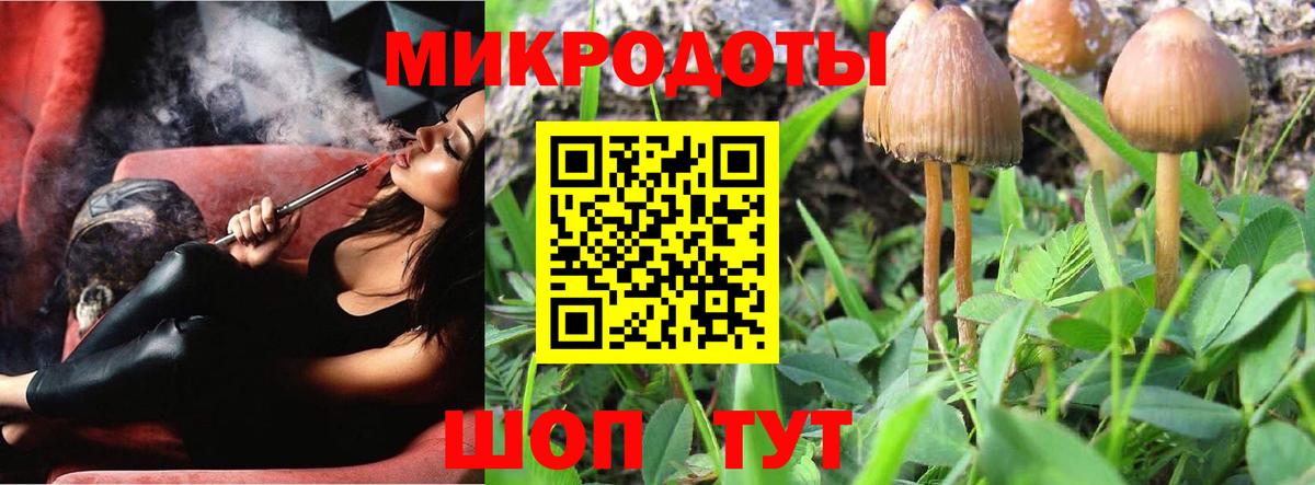 Псилоцибиновые грибы Psilocybine cubensis  Вход с VPN  Псилоцибиновые грибы ЛСД  Тольятти 